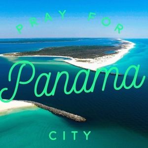 Meet your Posher, Alan